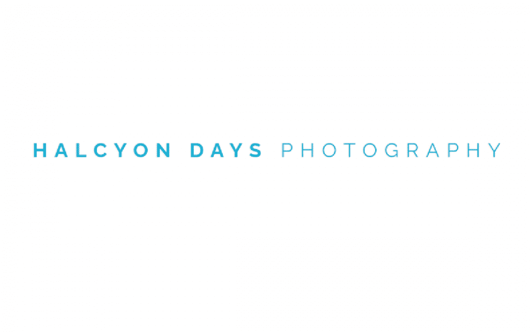 Halcyon Days Photography